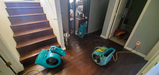 Best Sewage cleanup and water damage restoration  in Lechee, AZ
