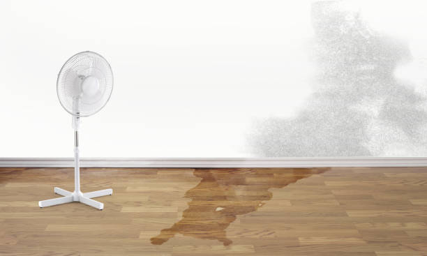 Best Water damage restoration near me  in Lechee, AZ