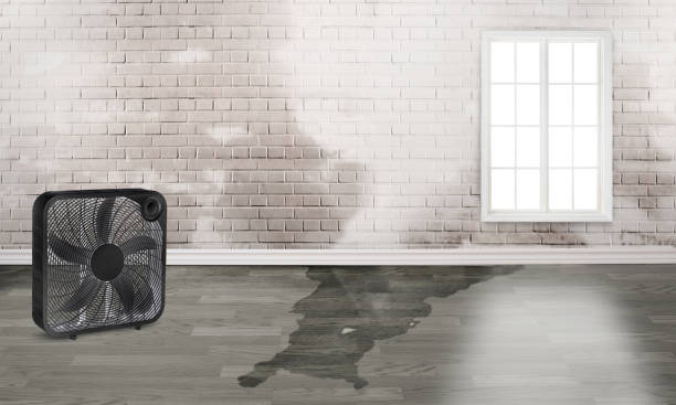 Best Water damage restoration services  in Lechee, AZ