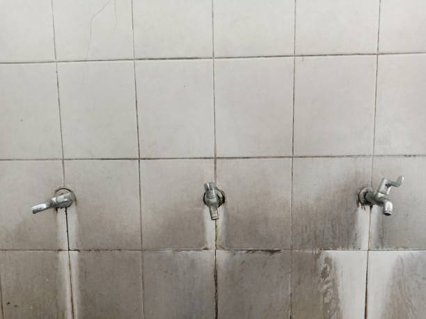 Best Ceiling water damage repair  in Lechee, AZ