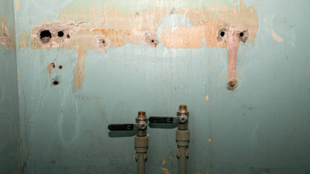Best Water damage restoration experts  in Lechee, AZ