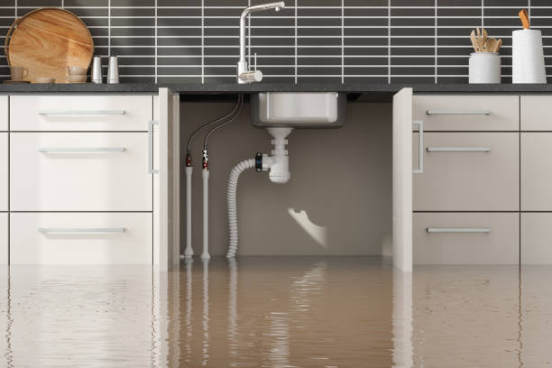 Best Flood damage cleanup  in Lechee, AZ